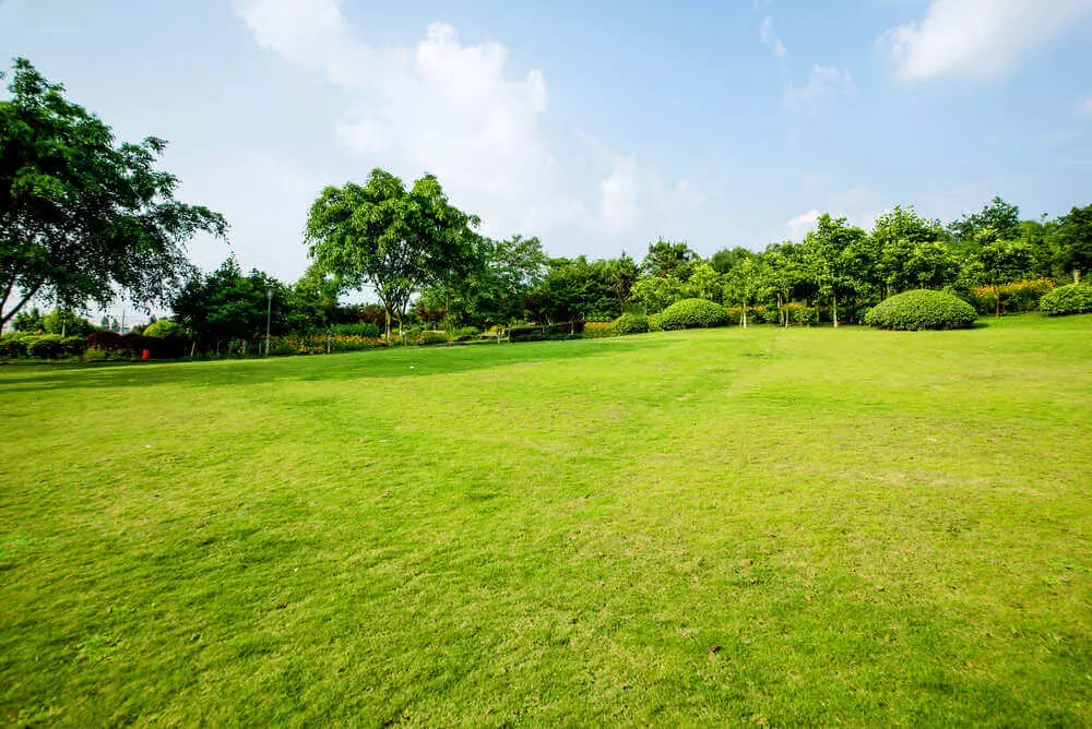 Terrenos
